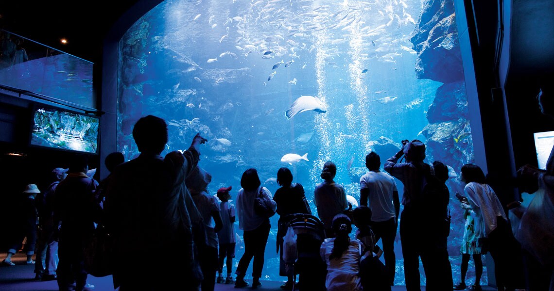 be_cs_kyoto_aquarium1