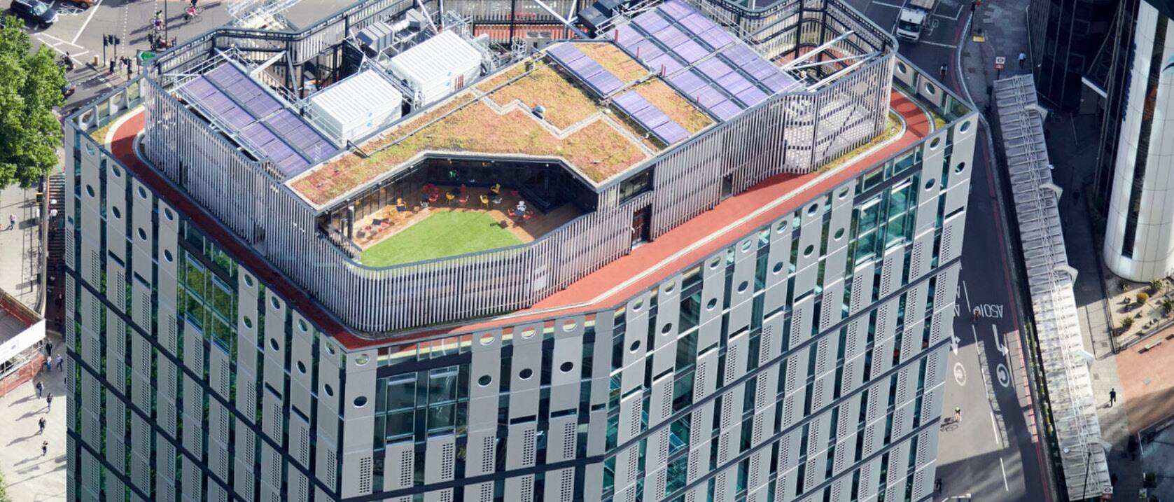 Japan Rose Theater inside MN